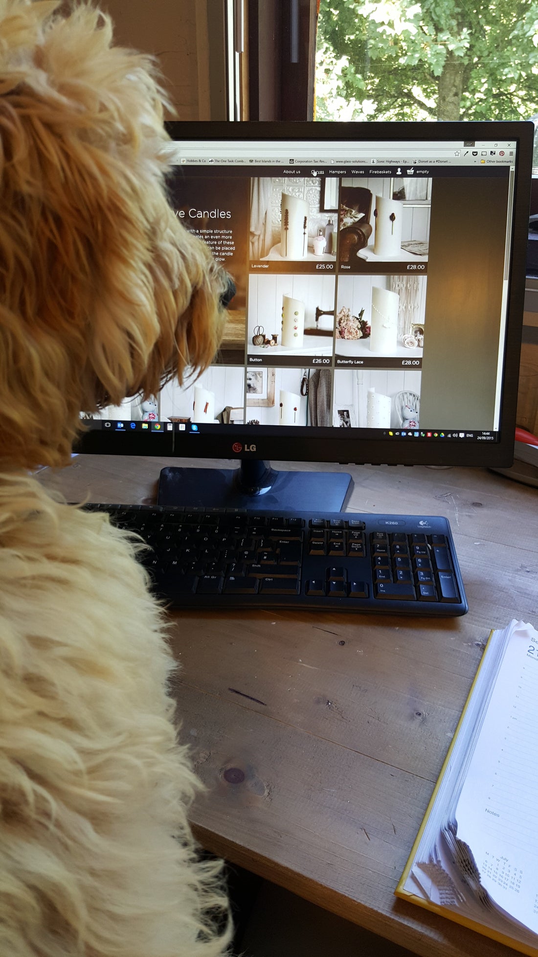 MAIDEN History Part 3 – The Dawn of MAIDEN