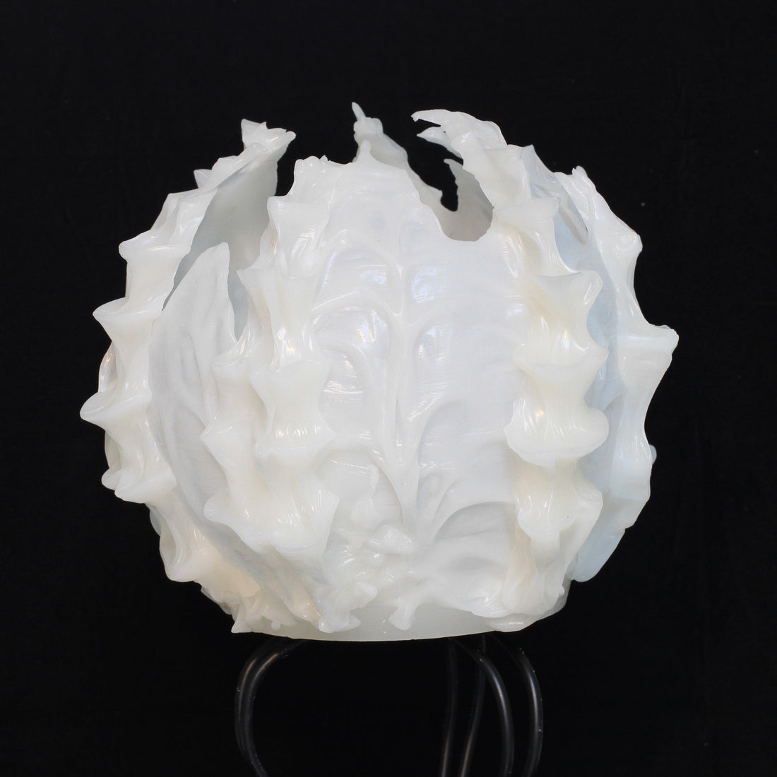 MAIDEN History Part 1 – The Pre-Curve Days